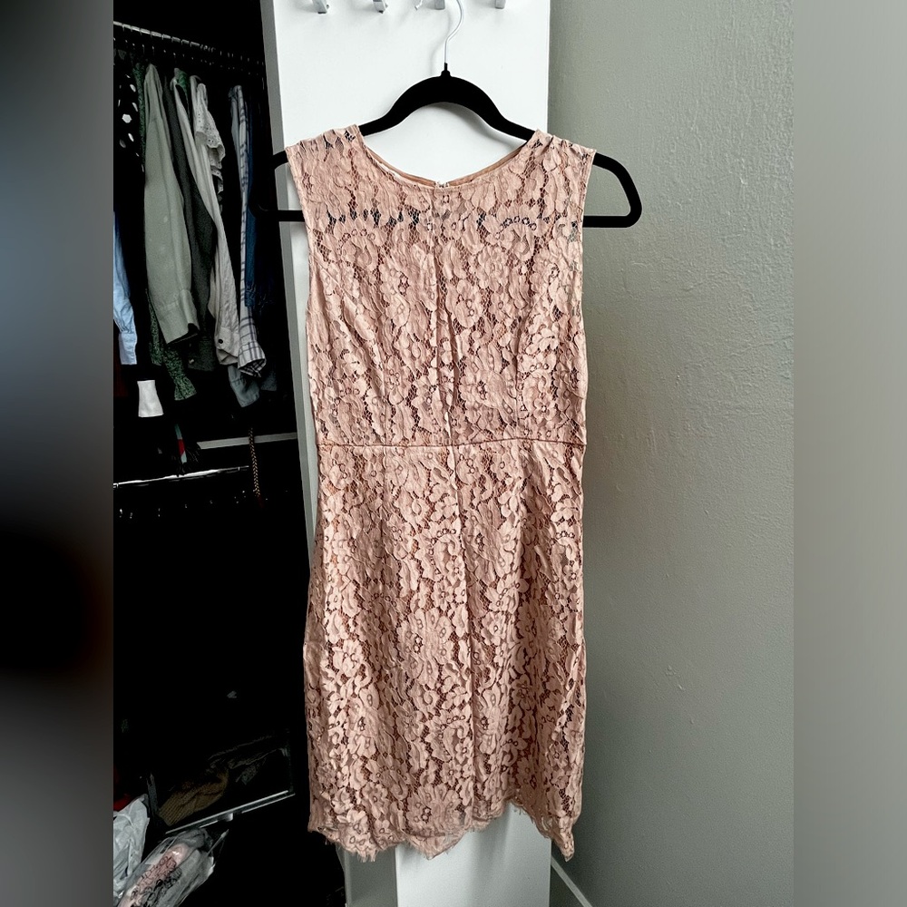 Eva Mendes New York and Company nude lace dress in size 0